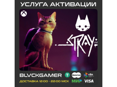 Stray Xbox+Windows (Activation)