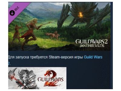 Guild Wars 2: Janthir Wilds™ Expansion 💎 DLC STEAM