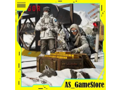 🔵DayZ Vigor DayZ Frostline | PS4/PS5/PS Turkey Ukraine