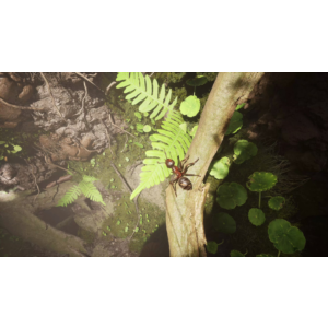❗EMPIRE OF THE ANTS❗XBOX X|S🔑KEY❗