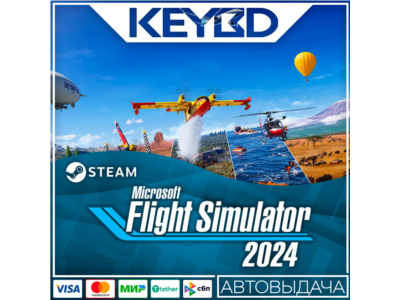Microsoft Flight Simulator 2024 +ВЫБОР · Steam RU