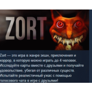 ZORT  АВТОДОСТАВКА STEAM РОССИЯ
