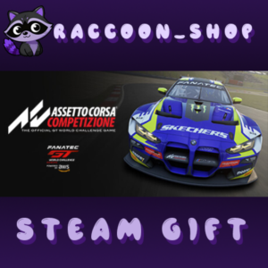 Assetto Corsa Competizione * STEAM RU*KZ*UA*CIS🔥