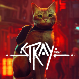 All regions ☑️⭐Stray Steam🎁