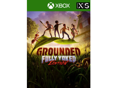 ✅ Grounded XBOX ONE SERIES X|S PC WIN10 DIGITAL KEY 🔑