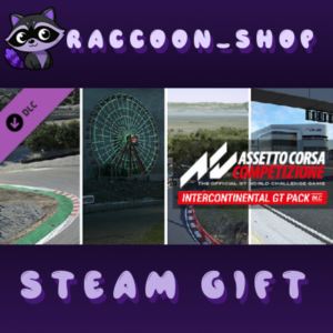 Assetto Corsa Competizione - Intercontinental GT Pack D