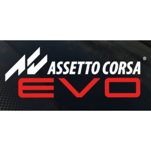 Assetto Corsa EVO (Steam Gift RU)