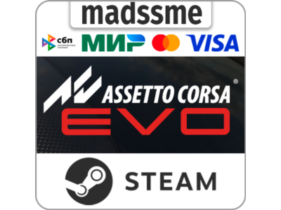 Assetto Corsa EVO * RU/KZ/CIS/TR/AR * STEAM 🚀 AUTO