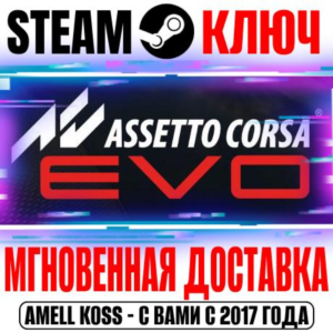 ⚫Assetto Corsa EVO Steam Key RU+CIS +Bonus