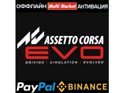 Assetto Corsa EVO STEAM