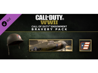 Call of Duty:WWII - Call of Duty Endowment Bravery Pack (DLC)✅Region free❗Steam Key🚀