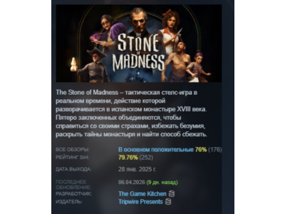 The Stone of Madness 💎 STEAM GIFT RUSSIA 🇷🇺
