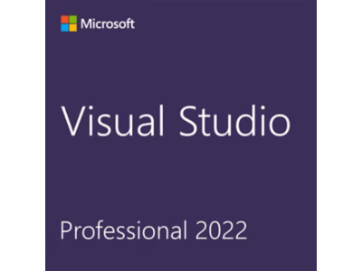 Visual Studio 2022 Professional / Бессрочная лицензия