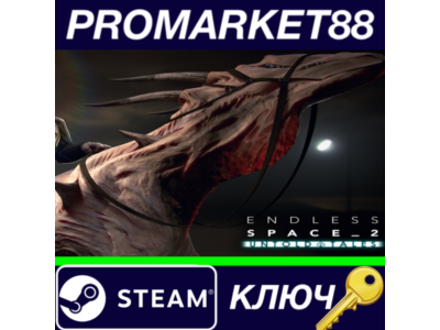 ⭐ Endless Space 2 - Untold Tales DLC EU Steam Key