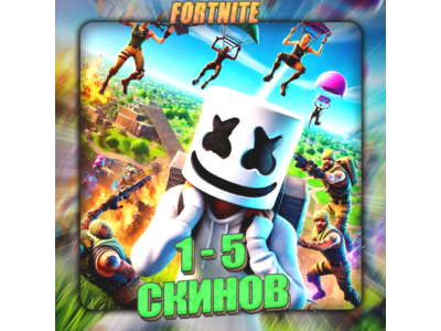🔥FORTNITE [  1 - 5 SKINS ] ✅ Full access ✅