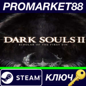 ⭐ Dark Souls II: Scholar of the First Sin ASIA Steam Ke