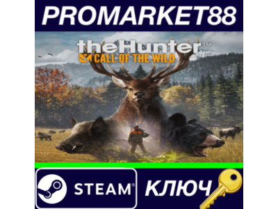 ⭐ theHunter: Call of the Wild USA Steam Key 🔑ARGENTINA