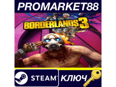 ⭐ Borderlands 3 US Steam key 🔑 USA
