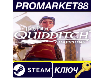 ⭐ Harry Potter: Quidditch Champions NA PC Steam Key 🔑U