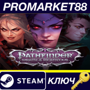 ⭐ Pathfinder: Wrath of the Righteous Steam Key 🔑ARGENT