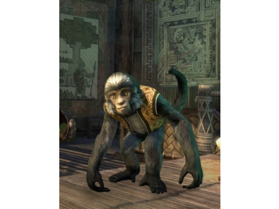 The Elder Scrolls Online 🌌КЛЮЧ🌌Обезьяна питомец
