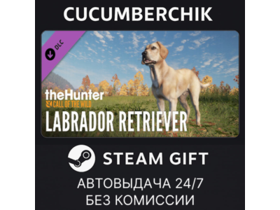 theHunter: Call of the Wild™ - Labrador Retriever✅STEAM GIFT AUTO✅RU+МИР