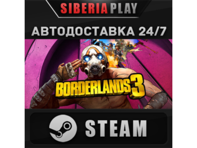 Borderlands 3 STEAM АВТО RU/UA/KZ/СНГ
