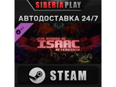 The Binding of Isaac: Afterbirth DLC STEAM AUTO