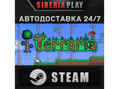 Terraria STEAM АВТО RU/UA/KZ/СНГ