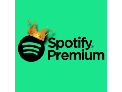 💎Spotify Premium Individual/duo/family на 1 месяц💎