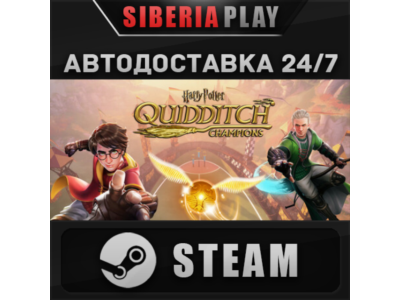 Harry Potter: Quidditch Champions Deluxe Edition STEAM