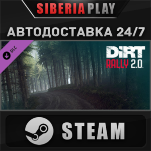 Dirt Rally 2.0 - Wales Rally DLC STEAM RU/UA/KZ/CIS
