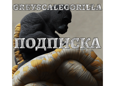Account GreyscaleGorilla Plus | Subscription, Cinema 4D