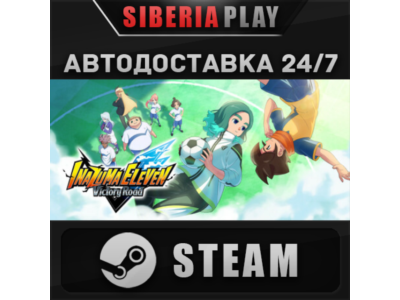 INAZUMA ELEVEN: Victory Road Deluxe Edition STEAM