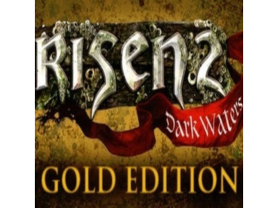 Risen 2: Dark Waters - Gold Edition Ключ Steam | РФ+СНГ