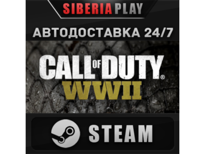 Call of Duty: WWII STEAM АВТО RU/UA/KZ/СНГ