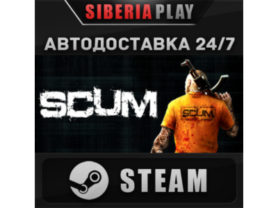 SCUM STEAM АВТО RU/UA/KZ/СНГ
