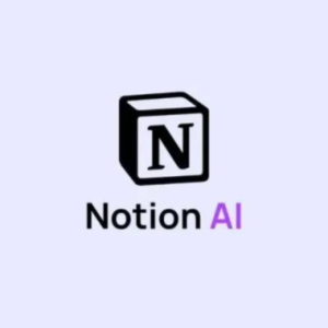 Notion PLUS Plan Subscription To Your Account 1Year