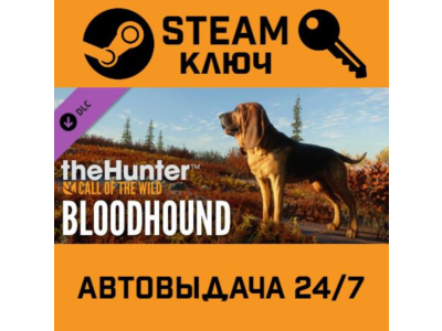 🔑TheHunter: Call of the Wild - Bloodhound. STEAM-key (