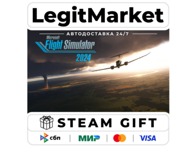 Microsoft Flight Simulator 2024 / Steam АВТО / РУ + МИР