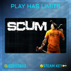 🔑SCUM STEAM KEY Global + RU