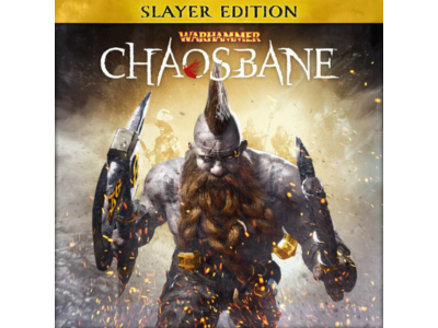 ⚔️Warhammer👹Chaosbane🛡️Slayer Edition🪓Steam Key