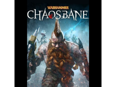 ⚔️Warhammer👹Chaosbane🛡️Steam Key