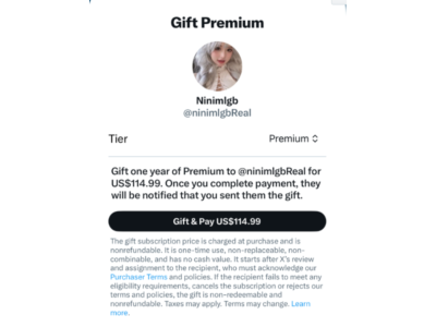 Twitter X Premium Grok Subscription 12 month | NO LOGIN