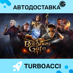 BALDUR'S GATE 3 ・STEAM・AUTO・OFFLINE