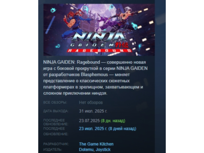 NINJA GAIDEN: Ragebound АВТОДОСТАВКА STEAM РОССИЯ