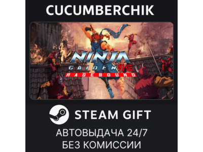 NINJA GAIDEN: Ragebound✅STEAM GIFT AUTO✅RU+МИР
