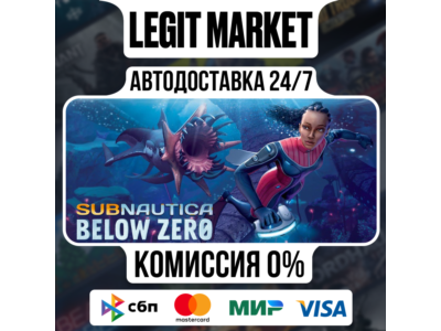 Subnautica: Below Zero / Steam AUTO / RU World