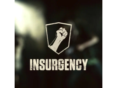 Insurgency / Steam Key / GLOBAL | AUTO DELIVERY 24/7