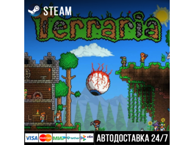 Террария стим/Terraria Steam Gift